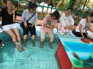 Fish Massage
