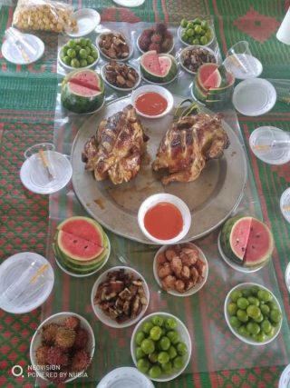 Picnic food