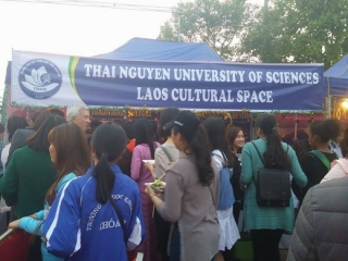 ASEAN cultural festival