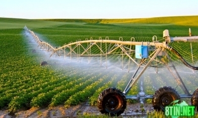 Tiên Phong được đầu tư trở thành trung tâm khoa học công nghệ trong nông nghiệp phía Bắc